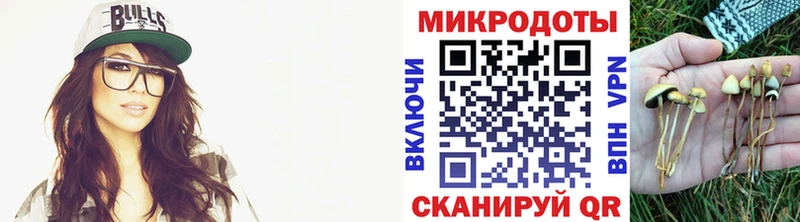 где купить наркотик  Красавино  Галлюциногенные грибы мухоморы 