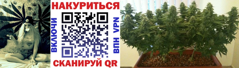 Марихуана Amnesia  Красавино 